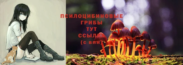 кокаин премиум Арсеньев