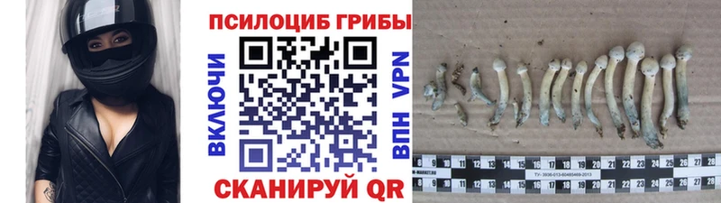 Галлюциногенные грибы прущие грибы Балтийск