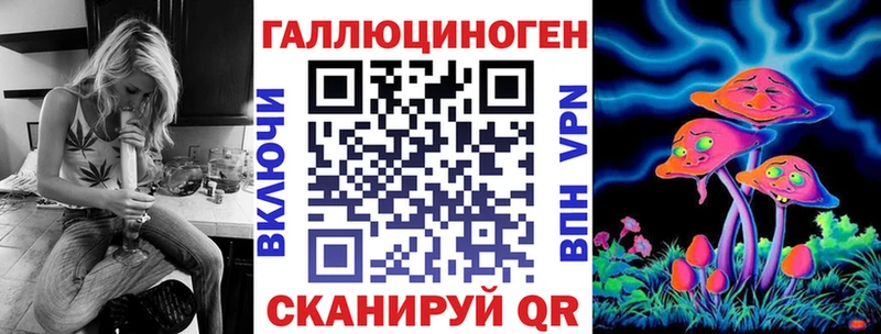 Псилоцибиновые грибы GOLDEN TEACHER  где купить наркоту  Балтийск 